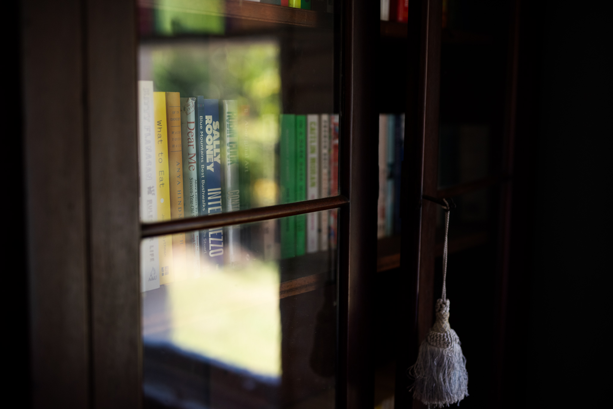 Close-up of antique bookshelf with variety of books